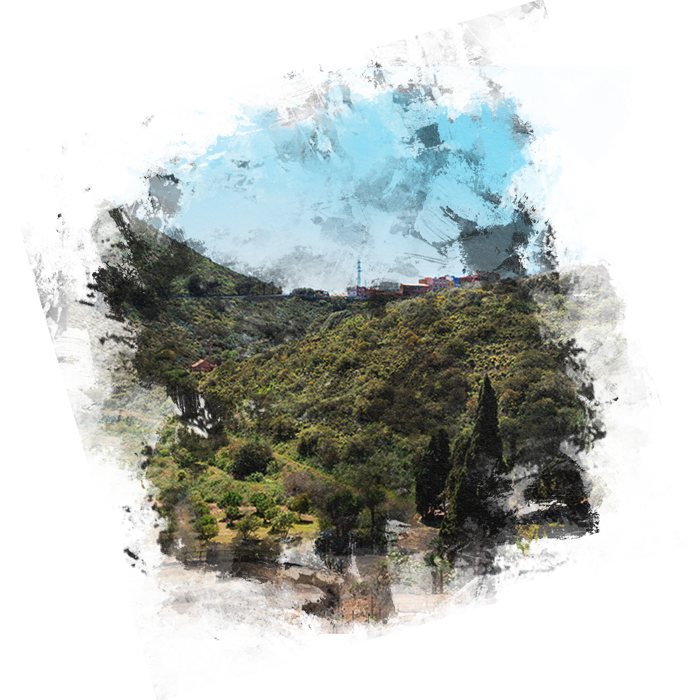 Finca Vandama Fotografia Montaña