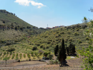 Finca Vandama Fotografia Montaña Terreno